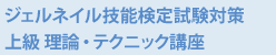 ジェルネイル技能検定試験対策 上級 理論・テクニック講座