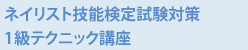 ネイリスト技能検定試験対策 1級テクニック講座