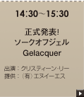 正式発表！ソークオブジェル