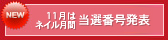 11月はネイル月間 当選番号発表