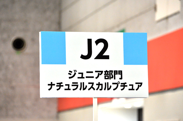 J2：ジュニア部門：ナチュラルスカルプチュア