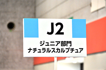 J2：ジュニア部門：ナチュラルスカルプチュア