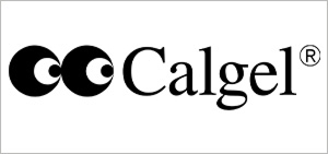 TREND DESIGN TEAMS 2026