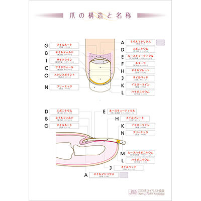 【新品・書き込みなし】JNA テクニカルシステム