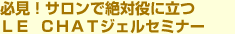 必見!サロンで絶対役に立つLE CHATジェルセミナー